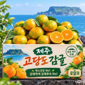 [제철1위] 완판초특가 제주직송 고당도 제주 감귤