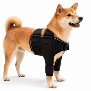 강아지 앞다리 보호대 반려견 슬개골 관절 보조대