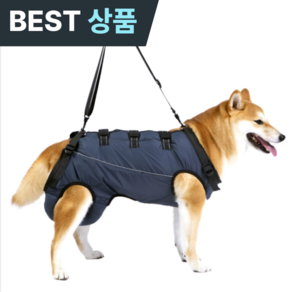 빅톰 강아지 전신 보조 하네스