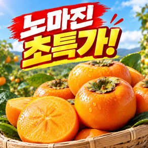 [딱100박스한정초특가] 경남 당도선별 햇 단감