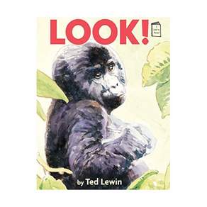 영문 영어 유아 도서 I Like to Read Level D: Look! Paperback 미국판 2217052