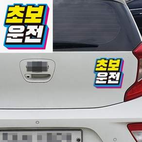 브로샵 초보운전 19 자석 자동차스티커 부착스티커