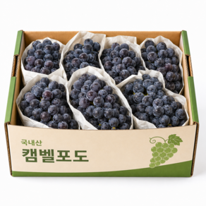 농가직송 고당도 캠벨 포도 초특가
