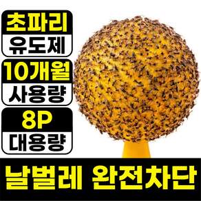 아엘론 초파리 트랩 끈끈이 날파리 퇴치