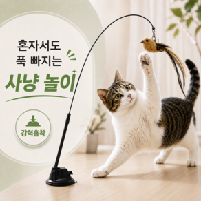 고양이 낚시대 혼자놀수있는 고정력좋은 사냥놀이 날으는 새 장난감