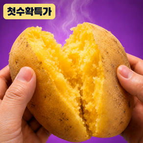 담아온 포슬한 골든에그 감자 황금감자 농가직송
