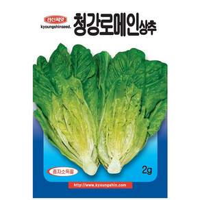 청강로메인 상추 씨앗 (2g) -텃밭 쌈채소 키우기
