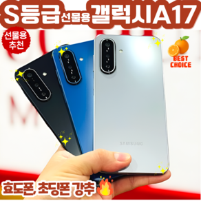 삼성전자 갤럭시 A17 자급제 SM-A175N