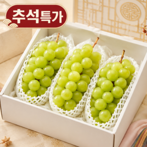 [1만원대특가] 샤인머스캣 추석 제철과일 선물세트