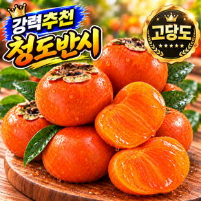산지직송 씨없는 홍시 고당도 청도반시