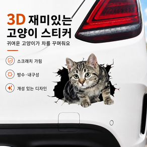 차체 스크래치 보호 스티커 자동차 고양이 3D 스티커 차량용 데칼 트렁크 꾸미기 장식