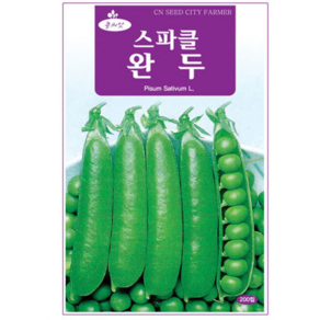 영농사 [청농 스파클 완두콩 씨앗 200립]