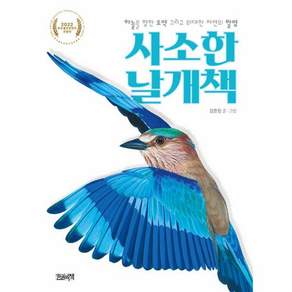 사소한 날개책 : 하늘을 향한 도약 그리고 위대한 자연의 발명