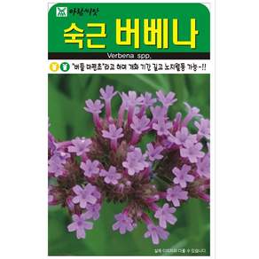 아람 버들마편초씨앗 200립 숙근 버베나 꽃씨 종자 씨앗 씨