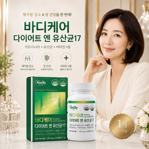 뉴일리