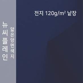 종이문화 뉴씨플레인 120g 전지 낱장 70색