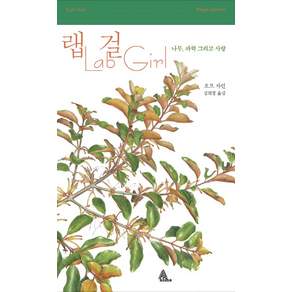 랩 걸