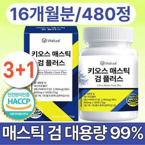 VitalLeaf 키오스 매스틱 검 플러스 식약청 인증 HACCP 제조시설