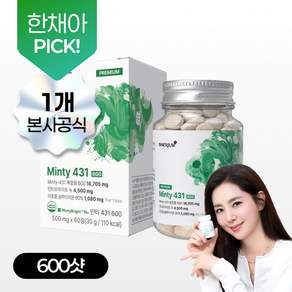본사출고 이너리움 민티431 600샷