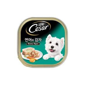 시저 애견간식 캔