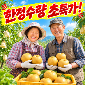 [노마진한정특가] 산지직송 가정용 고당도 햇나주배