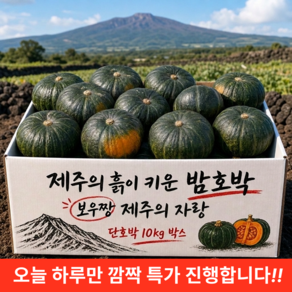 [제주직송] 밤호박 보우짱 못난이 단호박