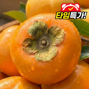 [타임특가] 국내산 고당도 단감