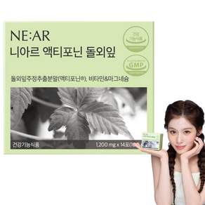 니아르 돌외잎 액티포닌 건강기능식품 1200mg X 14포