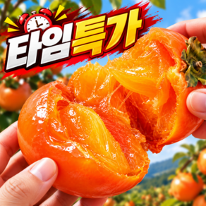 [타임특가] 50박스한정 꿀 고당도 반시
