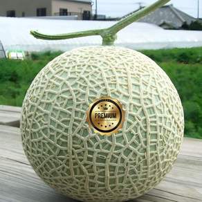 메론 새벽경매시장 선물용 산지직송 과일 식품 푸짐한 신선한 1.2kg 1개