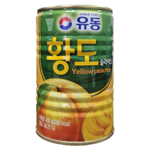 유동 황도 슬라이스