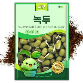 슬로시 새싹 씨앗 보리 다채 귀리 비빔용 청경채 경수채