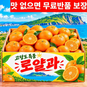 [마지막초특가] 산지직송 고당도 제주 감귤