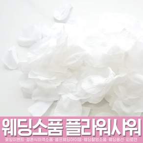 스투피드 셀프웨딩 프로포즈 모음
