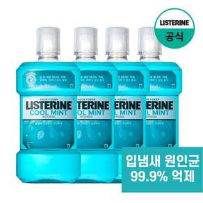 리스테린 쿨민트 구강청정제