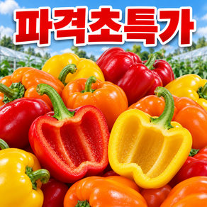 [파격초특가할인중] 국내산지직송 아삭하고 맛있는 파프리카