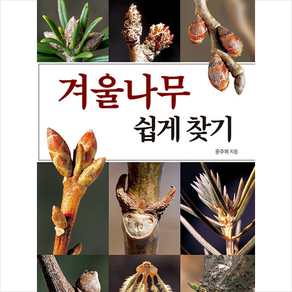 겨울나무 쉽게 찾기 + 미니수첩 증정