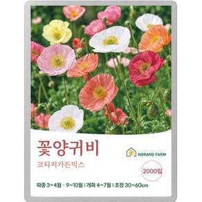 [노랑팜] 꽃양귀비 혼합 꽃씨 코티지가든 정원 화단 가꾸기 봄 가을 파종