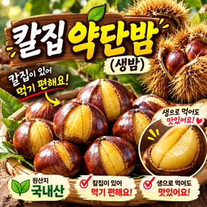 산들담 최고급 칼집 약단밤 찐밤 군밤 둘다 맛있어요