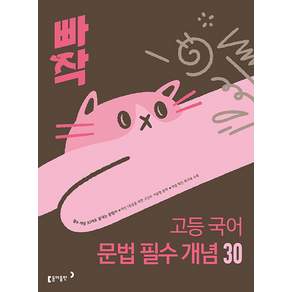 빠작 고등 국어 문법 필수 개념 30