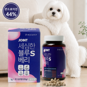 아큐펫 강아지 관절 영양제 노견 슬개골 연골 블루베리 S