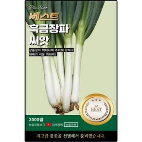 베스트 흑금장 대파 씨앗 2000립 추위에 강하고 재배가 쉬운 대파씨 종자