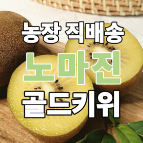 [노마진특가] 농장직배송 새콤달콤 국내산 골드키위