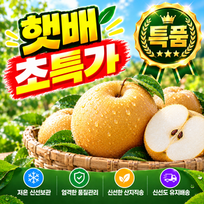 [싱글벙글] 산지직송 고당도 배 나주 꿀 특품