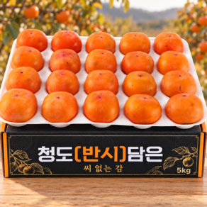 [폭탄세일] 큰사이즈 대형마트납품 씨없는 청도반시 홍시