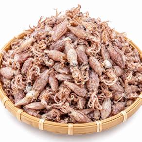 강일건어물 26년 햇 건꼴뚜기 호레기 500g 상품