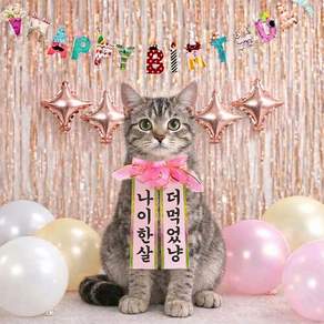 반려동물 생일 화환 세트 강아지 고양이 생일파티 용품 가랜드 홈파티 꾸미기 촬영 소품