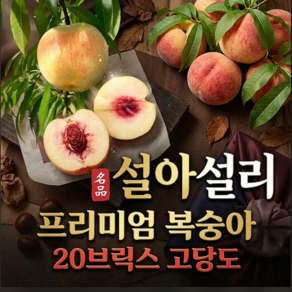 [프리미엄] 초고당도 설도 설아 설리복숭아