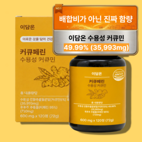 [4개월분] 이담온 강황 수용성 커큐민 HACCP 인증 염매, 1개, 120정