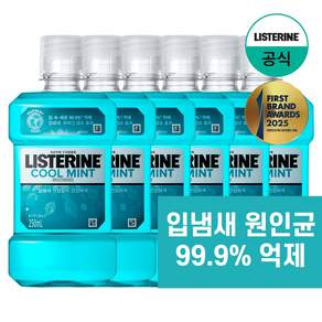 리스테린 쿨민트 구강청결제